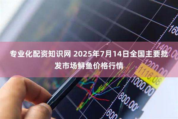 专业化配资知识网 2025年7月14日全国主要批发市场鲟鱼价格行情