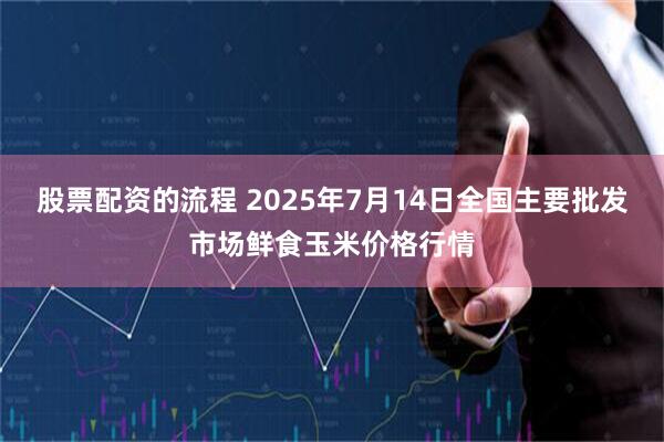 股票配资的流程 2025年7月14日全国主要批发市场鲜食玉米价格行情