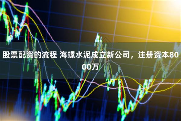 股票配资的流程 海螺水泥成立新公司，注册资本8000万
